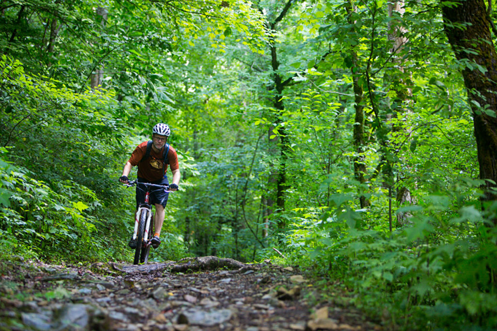 Norris Watershed Mountain Biking