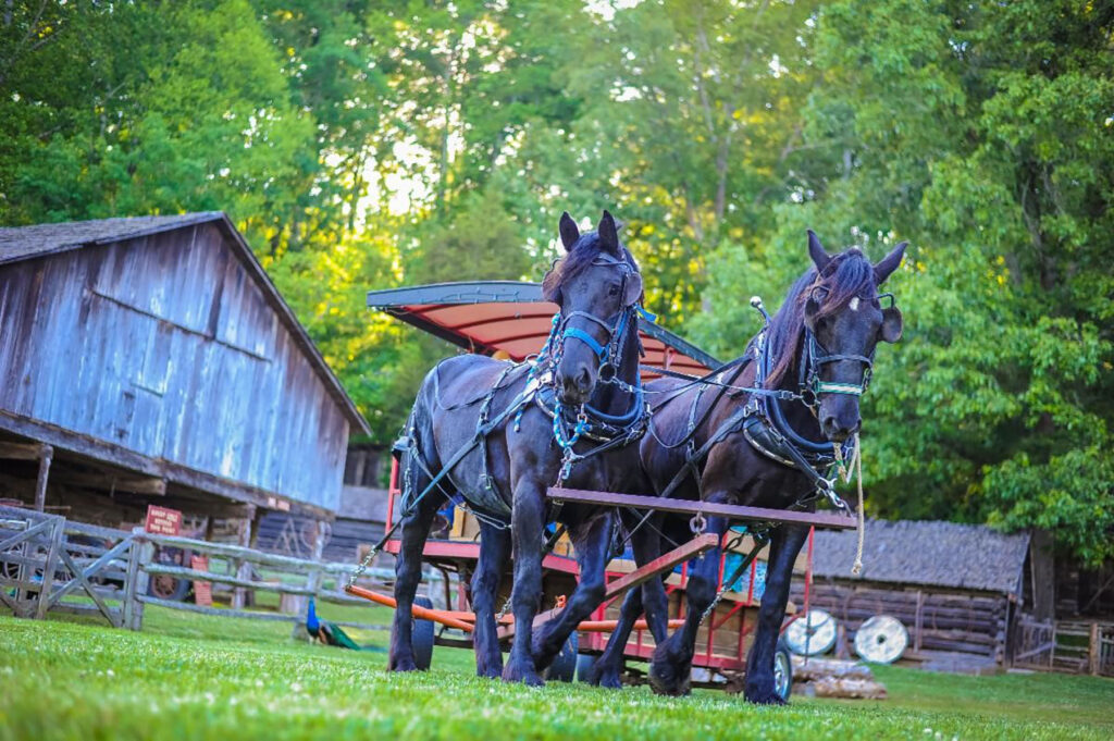 Museum of Appalachia