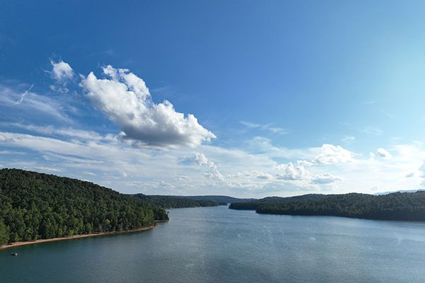 Norris Lake Ariel